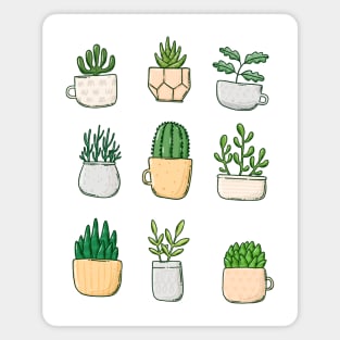 Plants in cups and pots Magnet